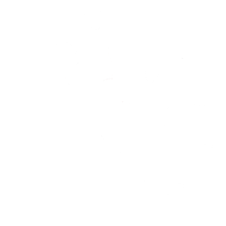 sharm Arabic language school